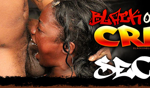 Secret Destroyed On Black On Black Crime